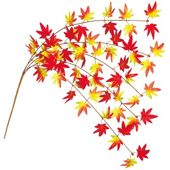 もみじエコシダレ アルファ(販促)