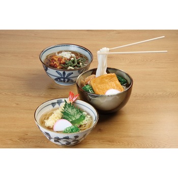 食品サンプル(うどん・そば) いわさき