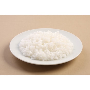 食品サンプル(洋食レストラン) いわさき