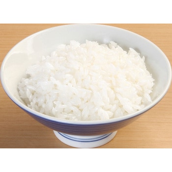 食品サンプル(定食) いわさき