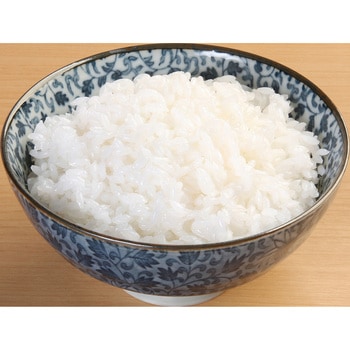 食品サンプル(定食) いわさき