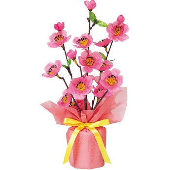 桃バリューラッピングポット アルファ[販促]