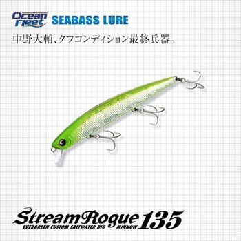 ストリームローグ135 EverGreen INTERNATIONAL