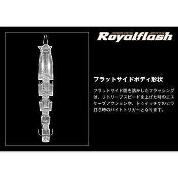 ロイヤルフラッシュ EverGreen INTERNATIONAL