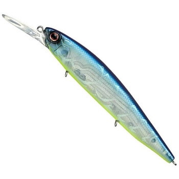 フェイス EverGreen INTERNATIONAL
