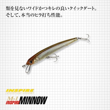 M-1 インスパイアミノー EverGreen INTERNATIONAL