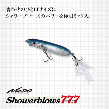 シャワーブローズ77.7 EverGreen INTERNATIONAL