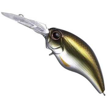 ワイルドハンチ EverGreen INTERNATIONAL