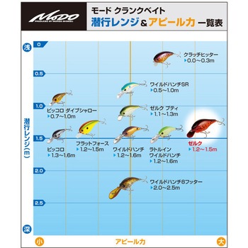 ゼルク EverGreen INTERNATIONAL