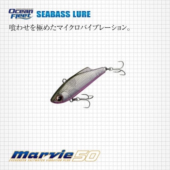マービー50 - EverGreen INTERNATIONAL