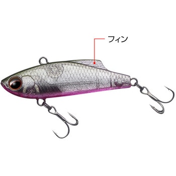 マービー50 - EverGreen INTERNATIONAL
