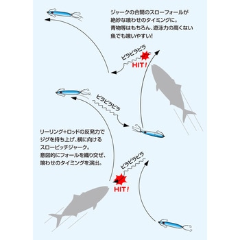 カプリスエッジ 100g EverGreen INTERNATIONAL