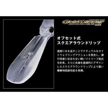 ゴールドディガー600 EverGreen INTERNATIONAL