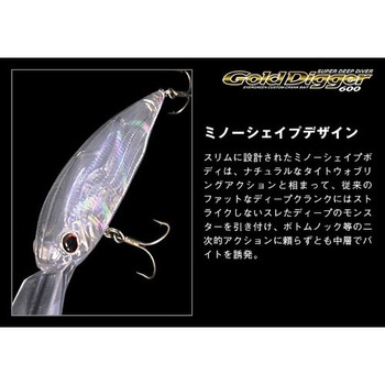 ゴールドディガー600 EverGreen INTERNATIONAL