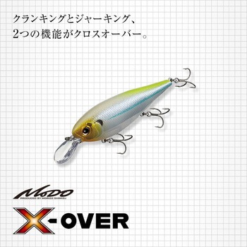 エックスオーバー EverGreen INTERNATIONAL