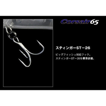 コルセア65 EverGreen INTERNATIONAL