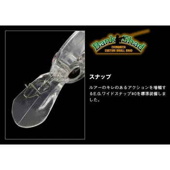 バンクシャッド EverGreen INTERNATIONAL