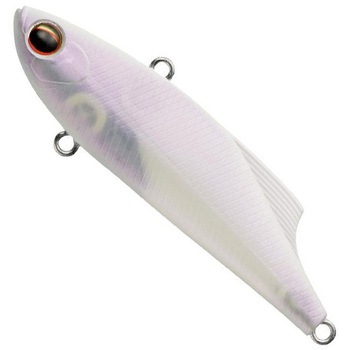 マービー70 EverGreen INTERNATIONAL