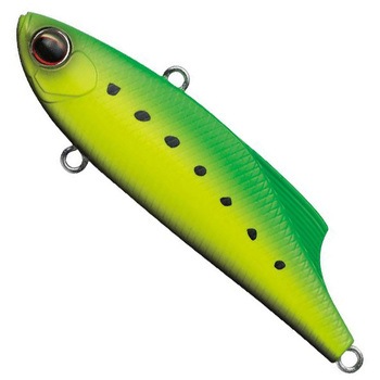 マービー70 EverGreen INTERNATIONAL