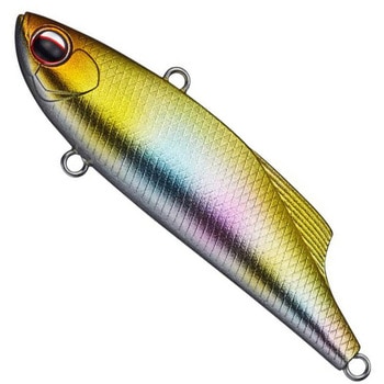 マービー70 EverGreen INTERNATIONAL