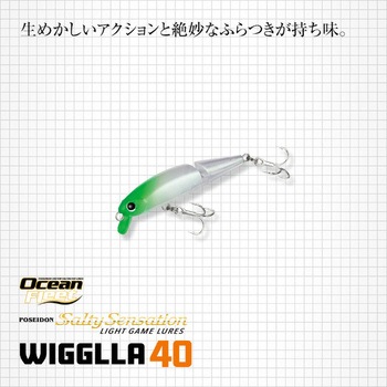ウィグラ40 EverGreen INTERNATIONAL