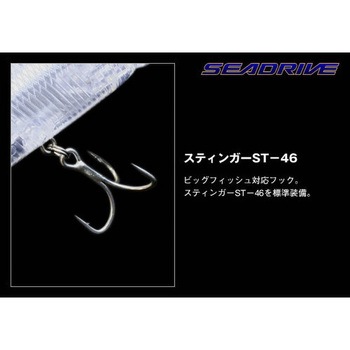 シードライブ EverGreen INTERNATIONAL