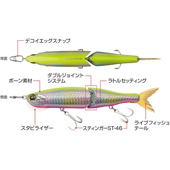 シードライブ ラトリンボーン EverGreen INTERNATIONAL