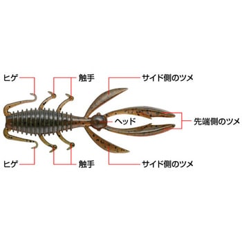 アントライオン3.3 EverGreen INTERNATIONAL