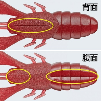 エッジブレイカー EverGreen INTERNATIONAL