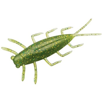 ゲジー EverGreen INTERNATIONAL