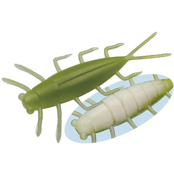 ゲジー EverGreen INTERNATIONAL