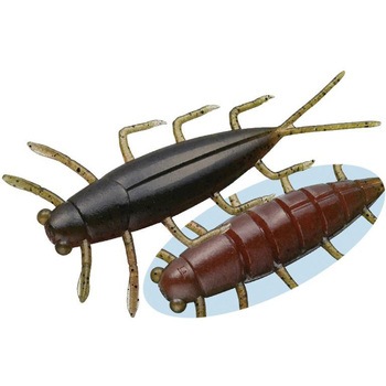 ゲジー EverGreen INTERNATIONAL