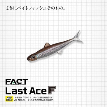 ラストエースF(フローティング)110F EverGreen INTERNATIONAL