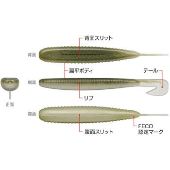 クラップバザー EverGreen INTERNATIONAL