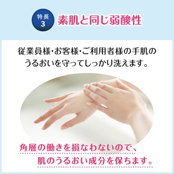 ビオレu泡ハンドソープ 業務用 花王