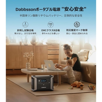 DBS3000B Expandable Battery 1台 DABBSSON 【通販モノタロウ】