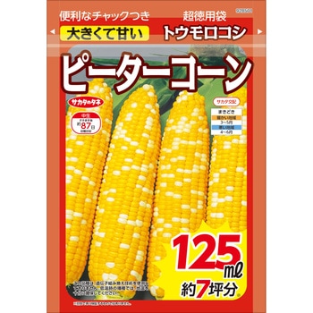 トウモロコシ ピーターコーン 【超徳用】 サカタのタネ