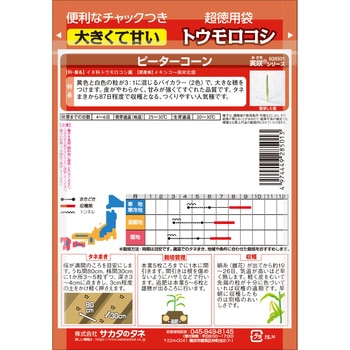 トウモロコシ ピーターコーン 【超徳用】 サカタのタネ