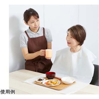 フェルラックエプロン 竹虎