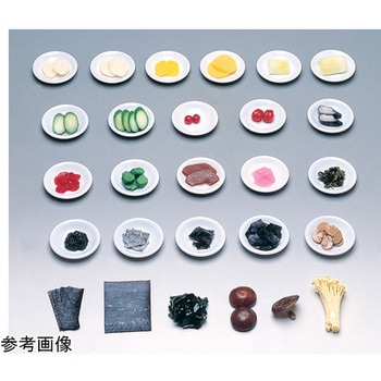 フードモデル(藻類・きのこ類・漬物1～36) イワイサンプル