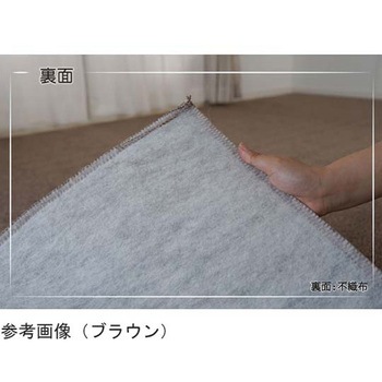 ピースカーペット サウンドヘイズ 江戸間タイプ 13137875シリーズ スミノエ