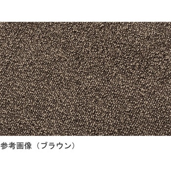 ピースカーペット サウンドヘイズ 江戸間タイプ 13137875シリーズ スミノエ