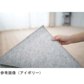 ピースカーペット ホームミスト 本間タイプ スミノエ
