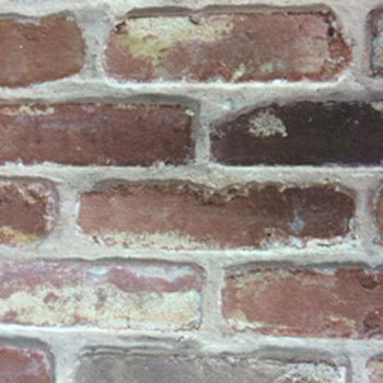 SD-006-25 ͂ǎ fR} pltH 52751457