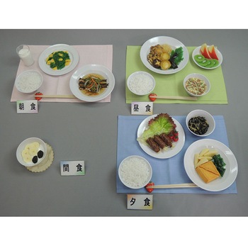 妊婦食 献立 41シリーズ イワイサンプル