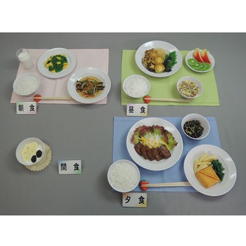 妊婦食 献立 41シリーズ イワイサンプル