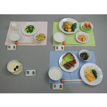 妊婦食 献立 41シリーズ イワイサンプル