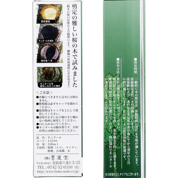 キニヌール 墨運堂
