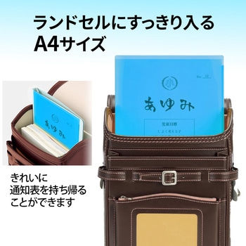 クリアホルダー 通知表ホルダー プラス(文具)