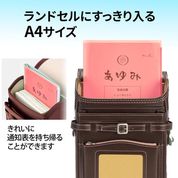 クリアホルダー 通知表ホルダー プラス(文具)
